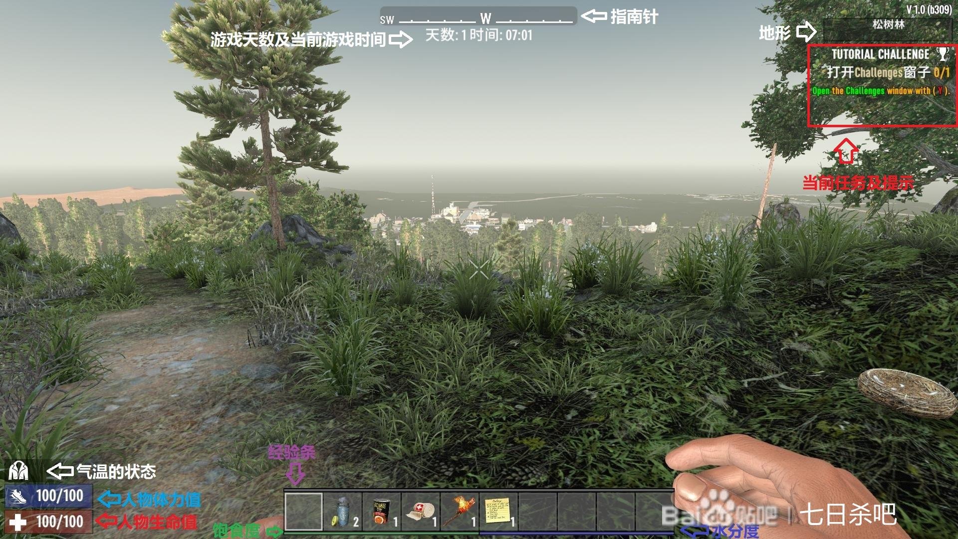 空洞骑士 截图10